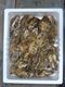 相生牡蠣 殻つき2kg(24個前後)2人〜3人
